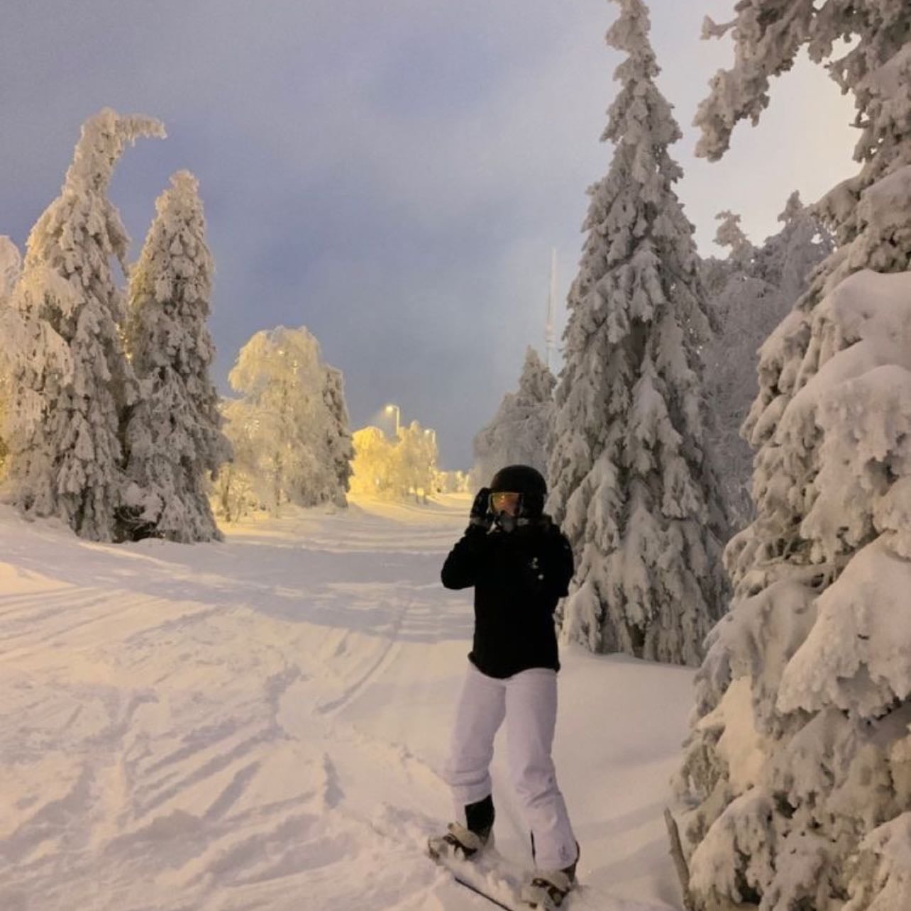 ski!! - i love skiing but i can’t do it every year cause it barely snows where i live..