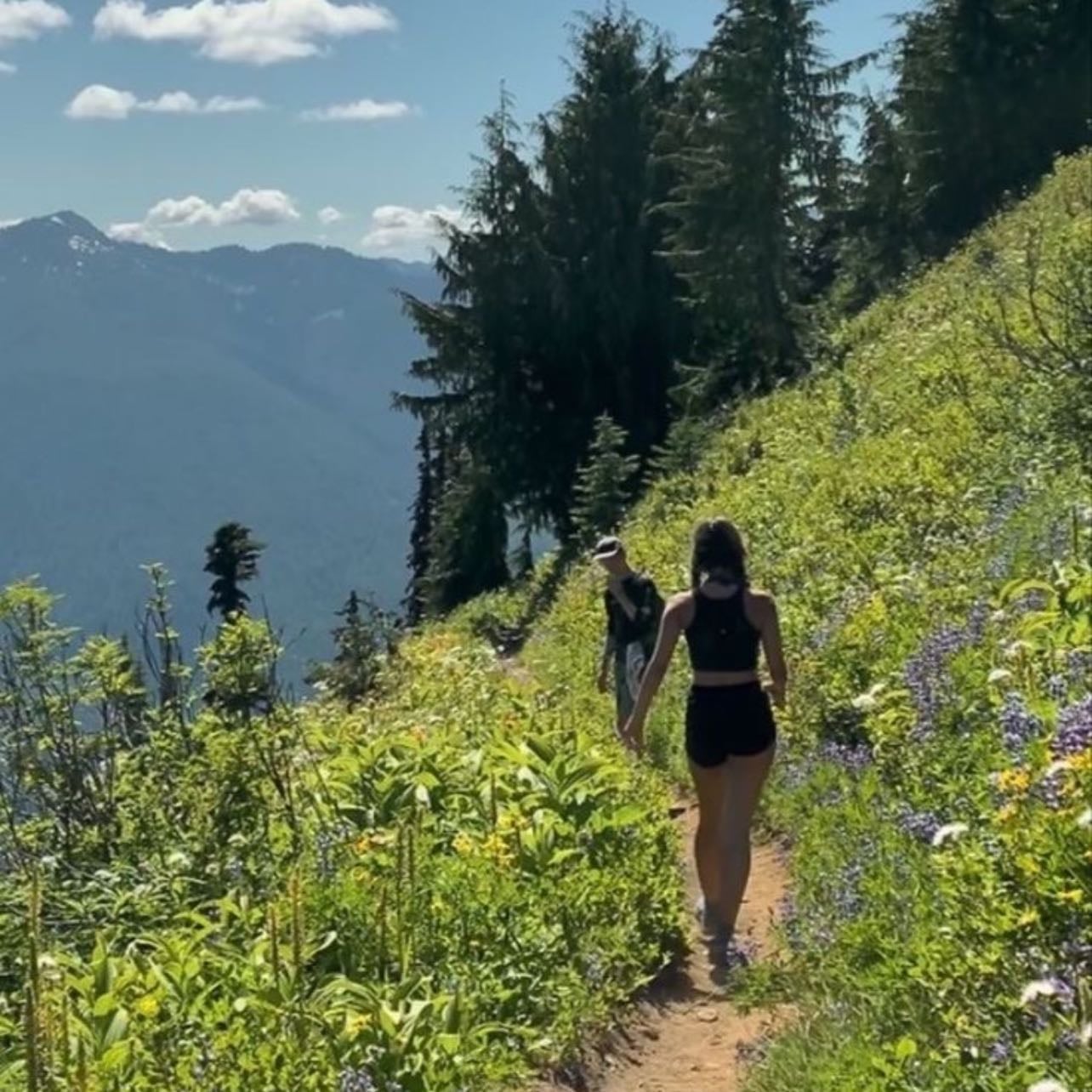 hike!! - i love nature but hate walking so it’s kinda unrealistic but it sounds fun