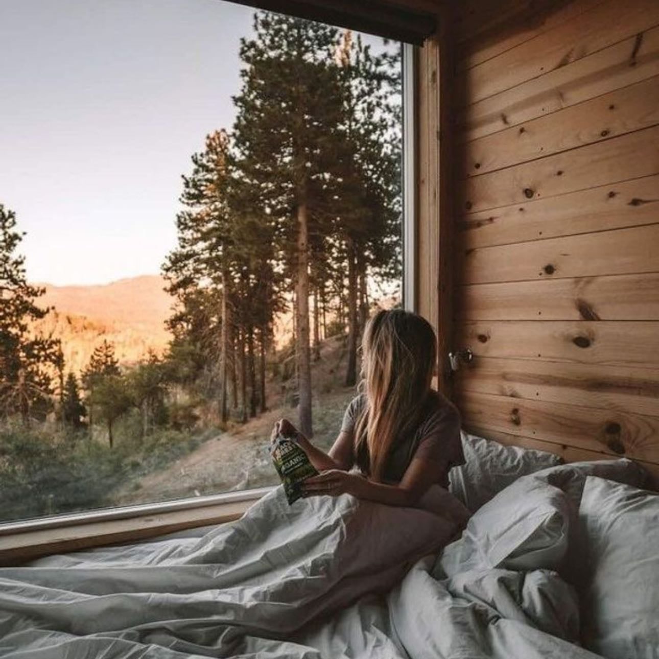 Stay in a cabin in the woods