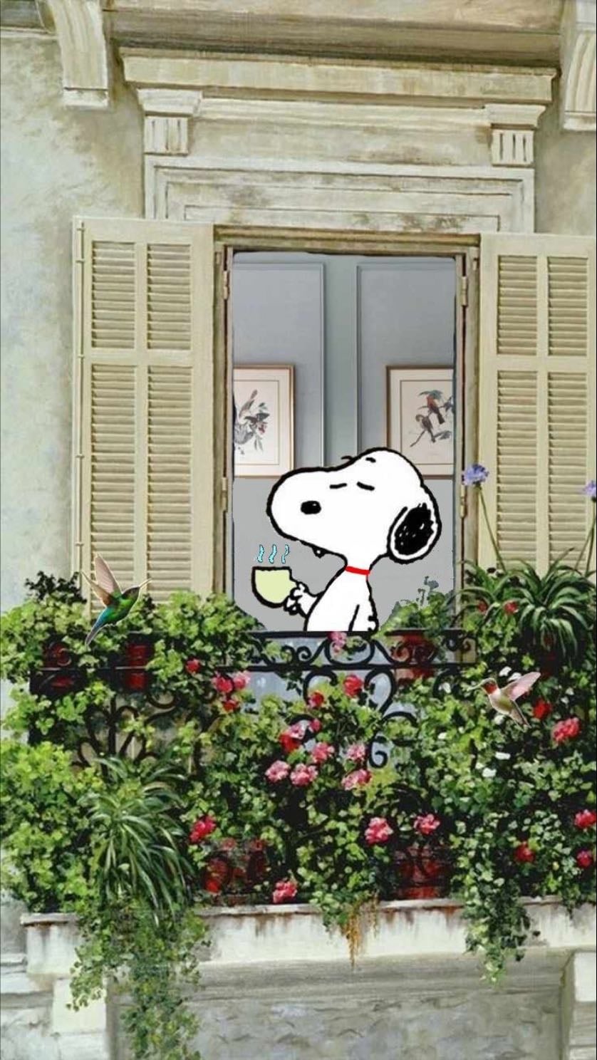 disfrutar la primavera y sus días lindos - 🌞💞🌸