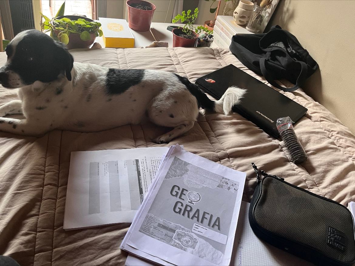 maratón de estudio - 15/11