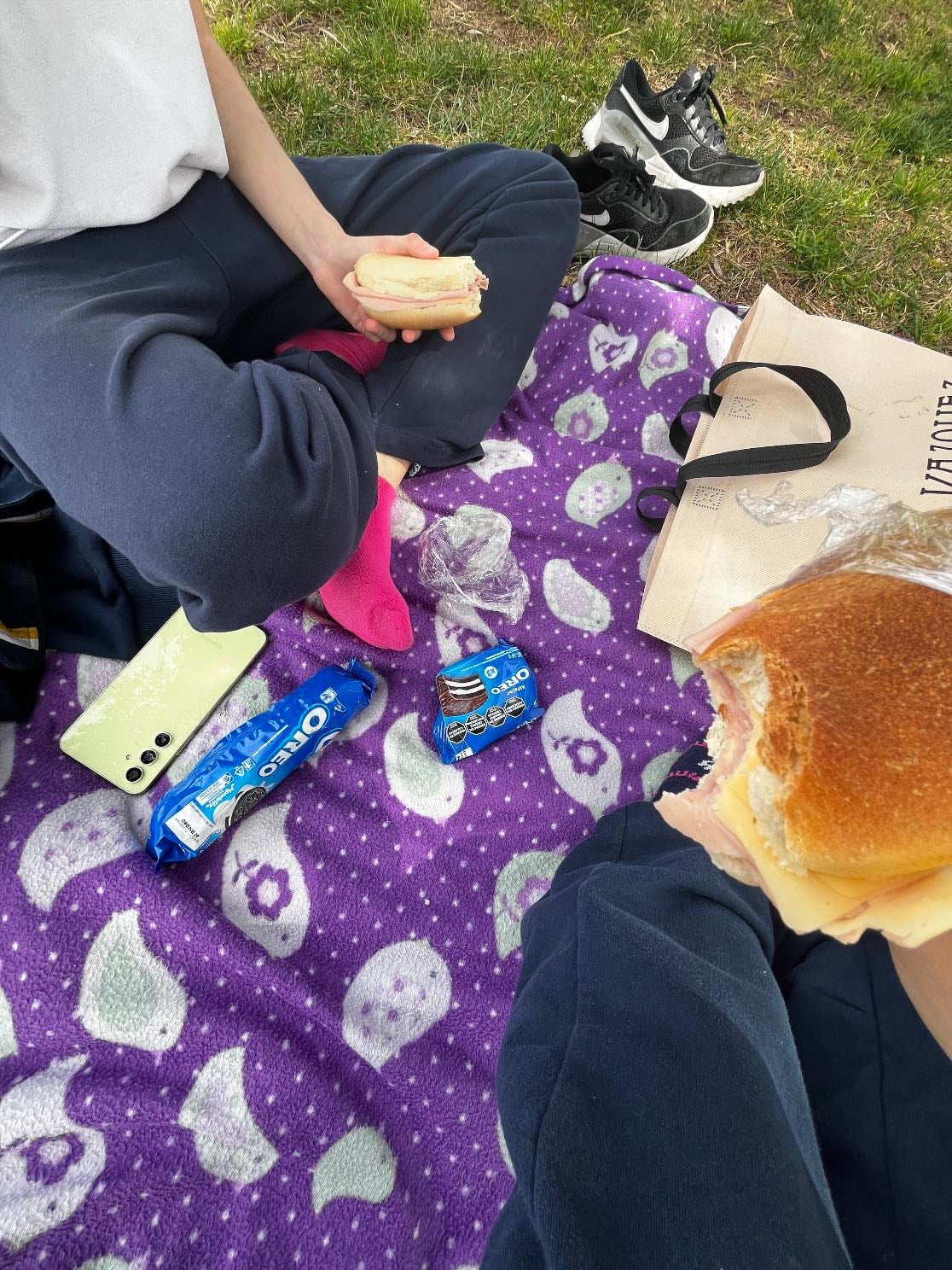 picnic con delfii - y su casa desp