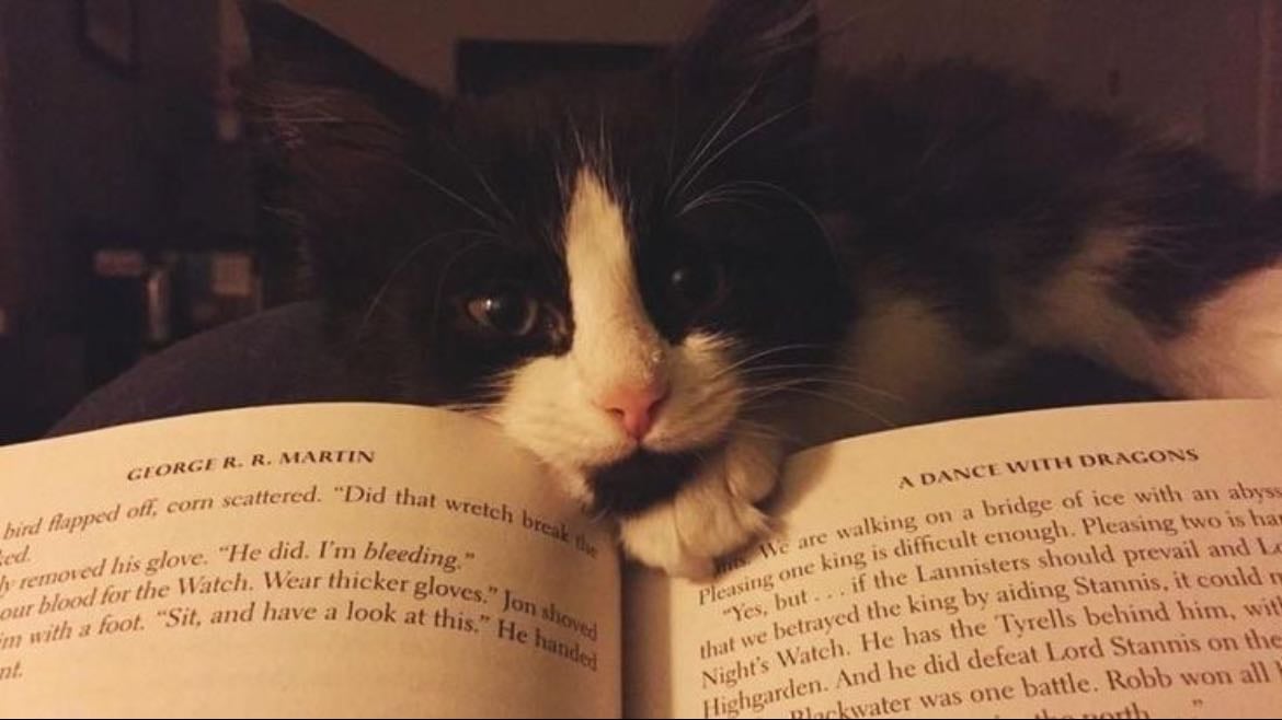 leer