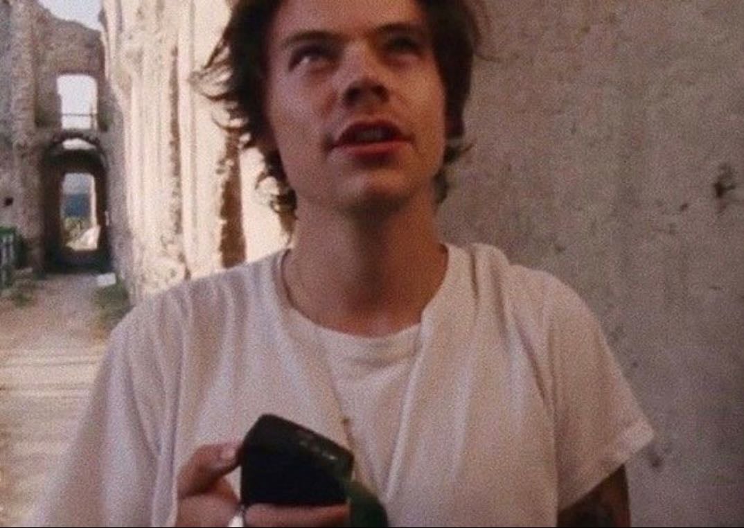 VOLVIO HARRY STYLES LPM - lloré y grité, si