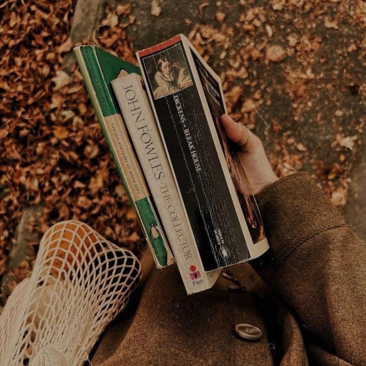 Old book shopping