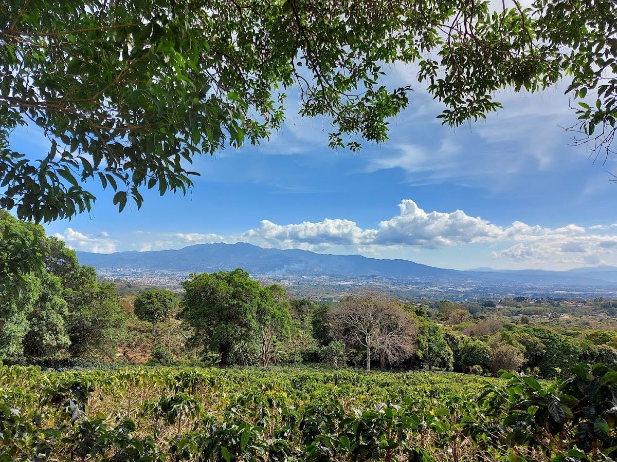 Finca Vikingos - Pet friendly 🐾