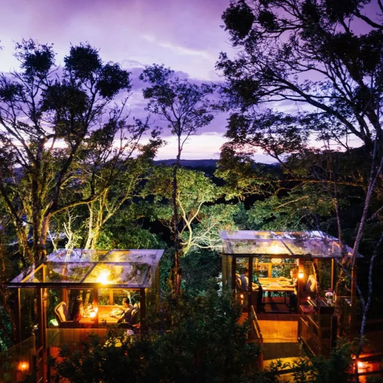 San Lucas Treetop dining - Most romantic restaurant | Monteverde