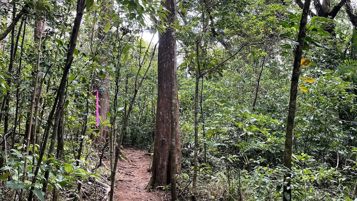 Bike Park Adventure Volcan Barva