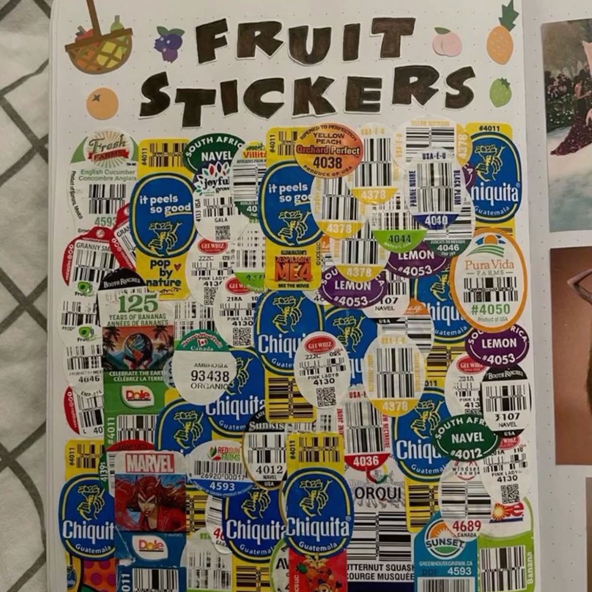 fruit stamp page - collect stickers from fruits and stick them to a page