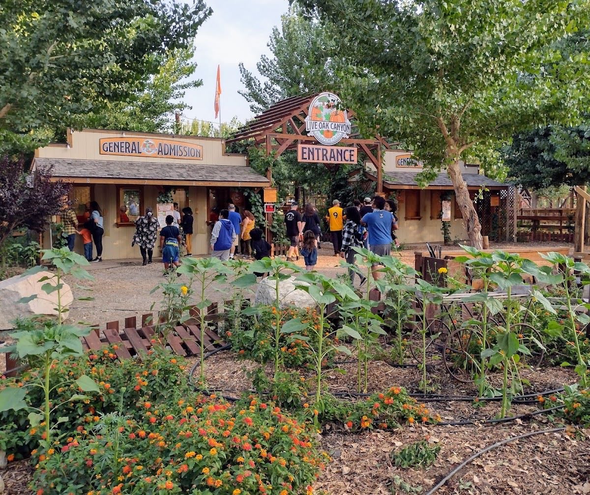 Live Oak Canyon Farm