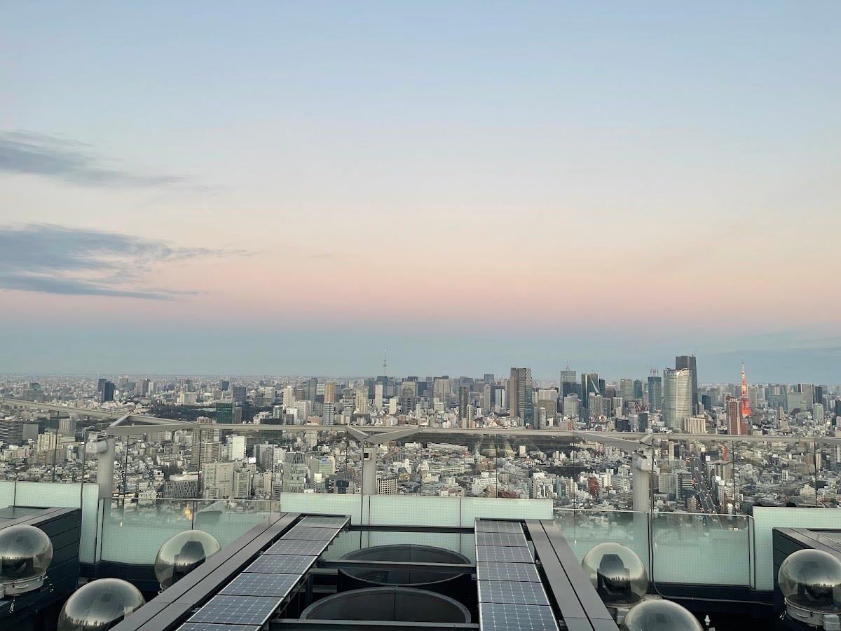 Shibuya Sky - top sights
