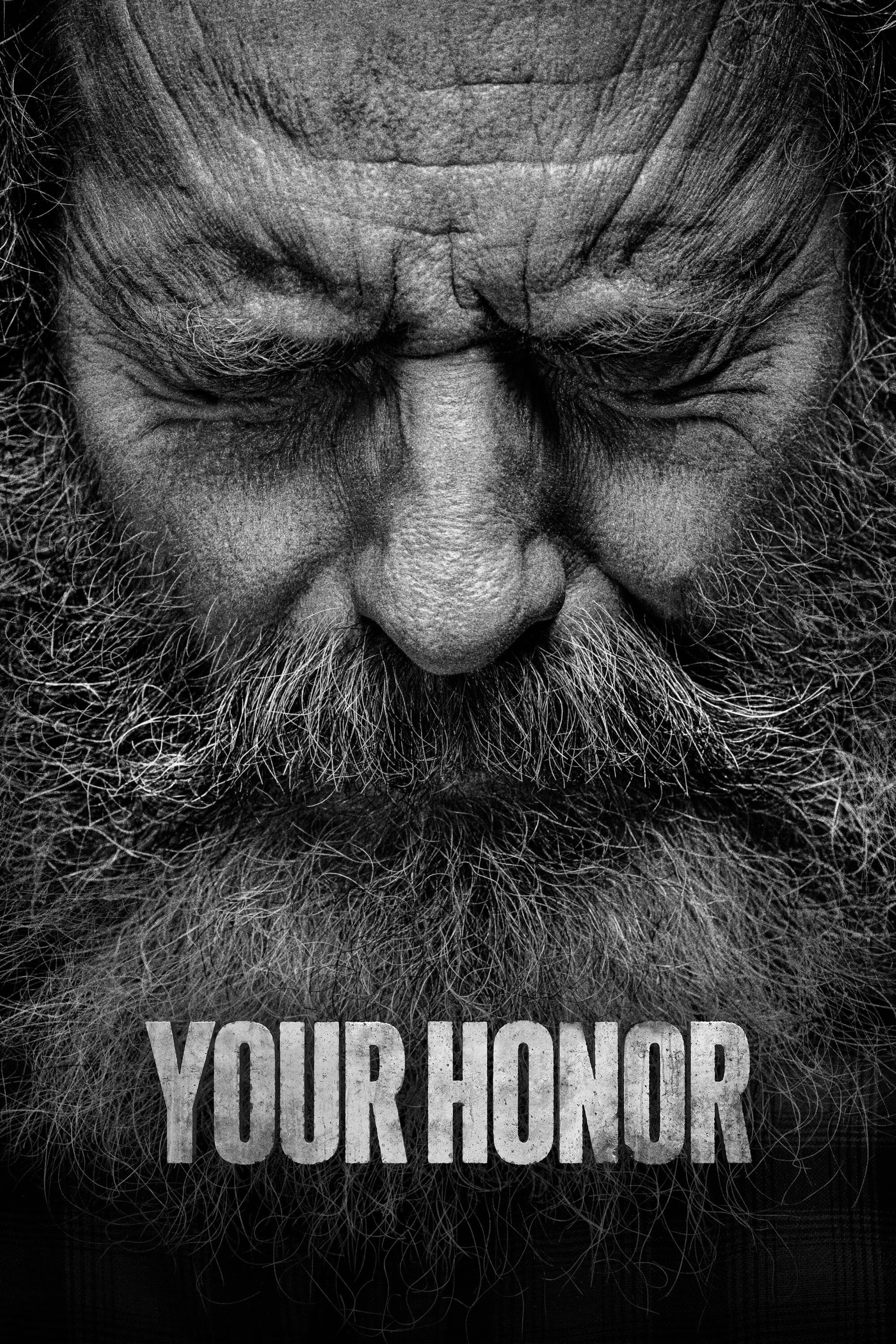 Your Honor - Peter Moffat · 2020