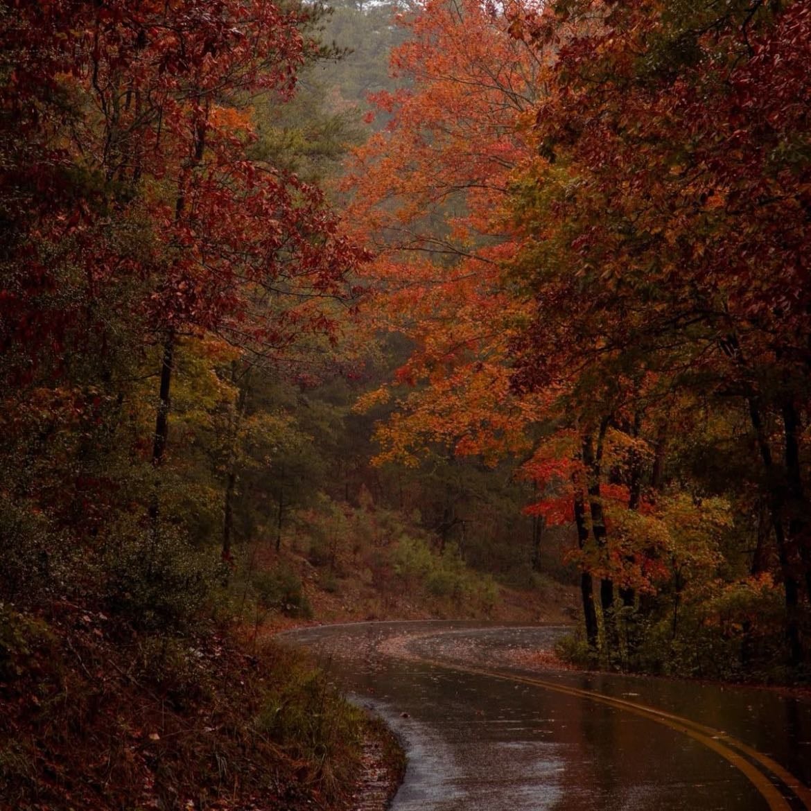 Autumn - Season alignment