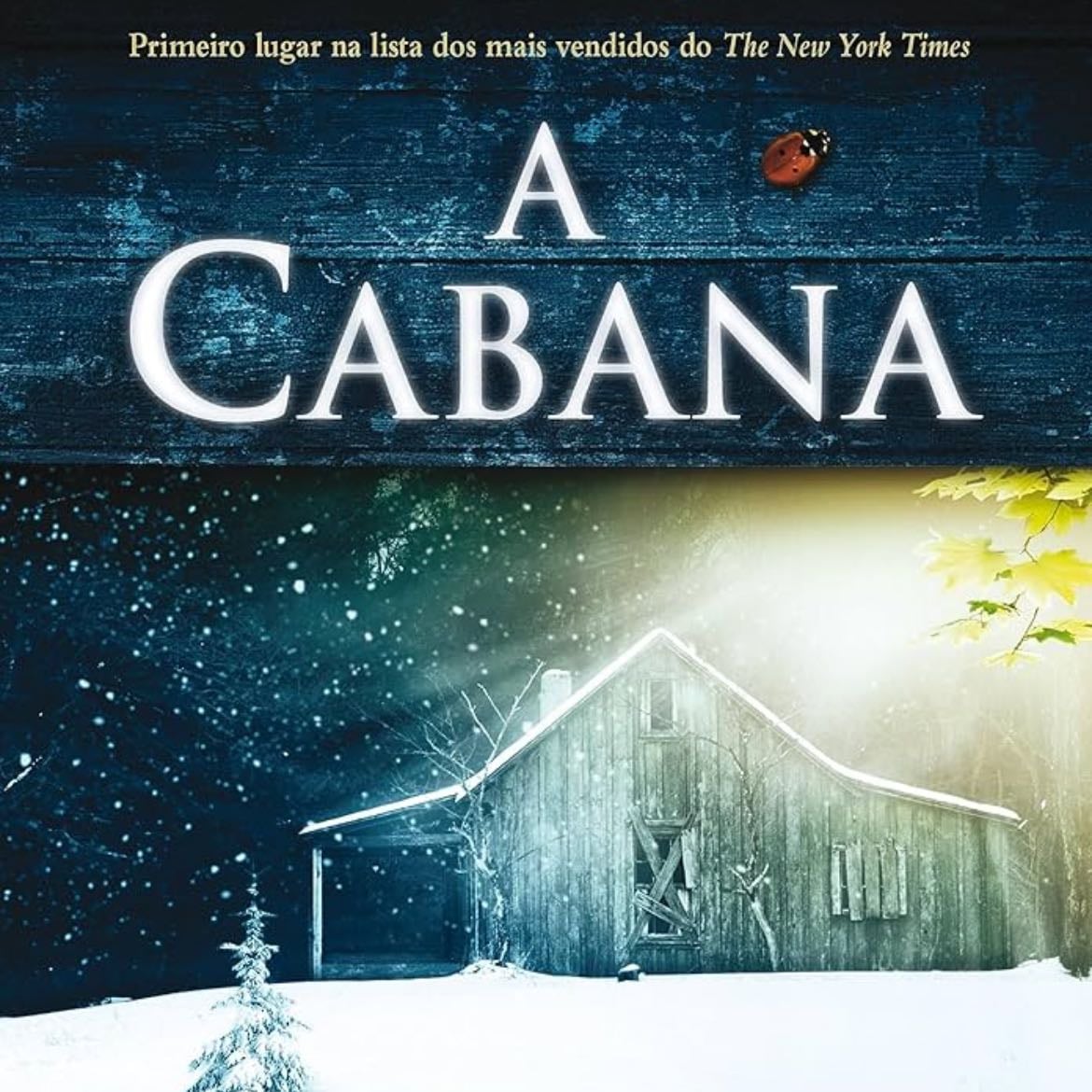 A Cabana - William P. Young · 2010