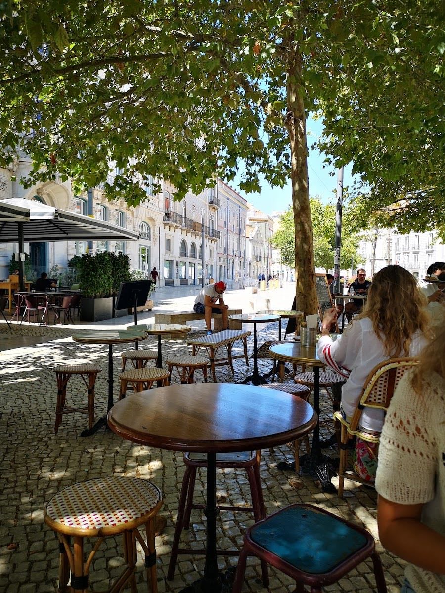 Palma
