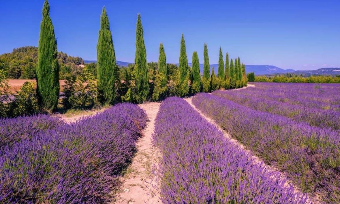 Provença