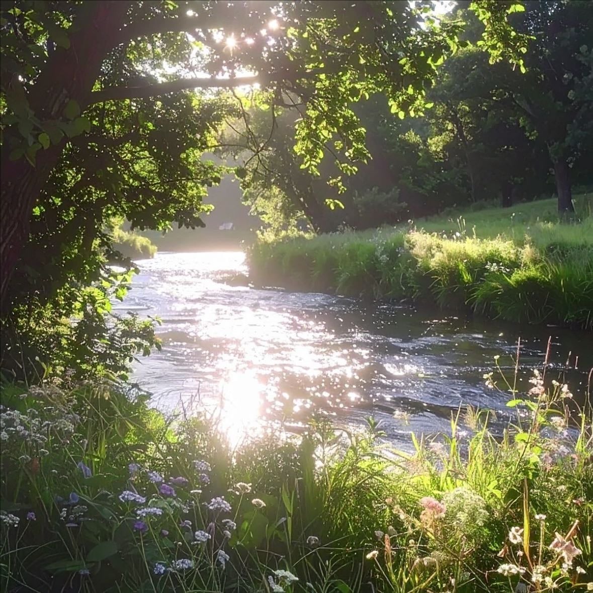 Being in nature