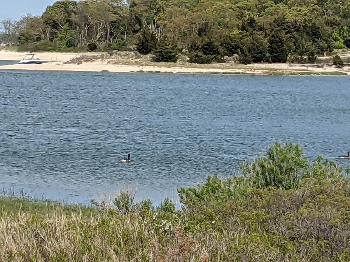 Elizabeth A. Morton National Wildlife Refuge