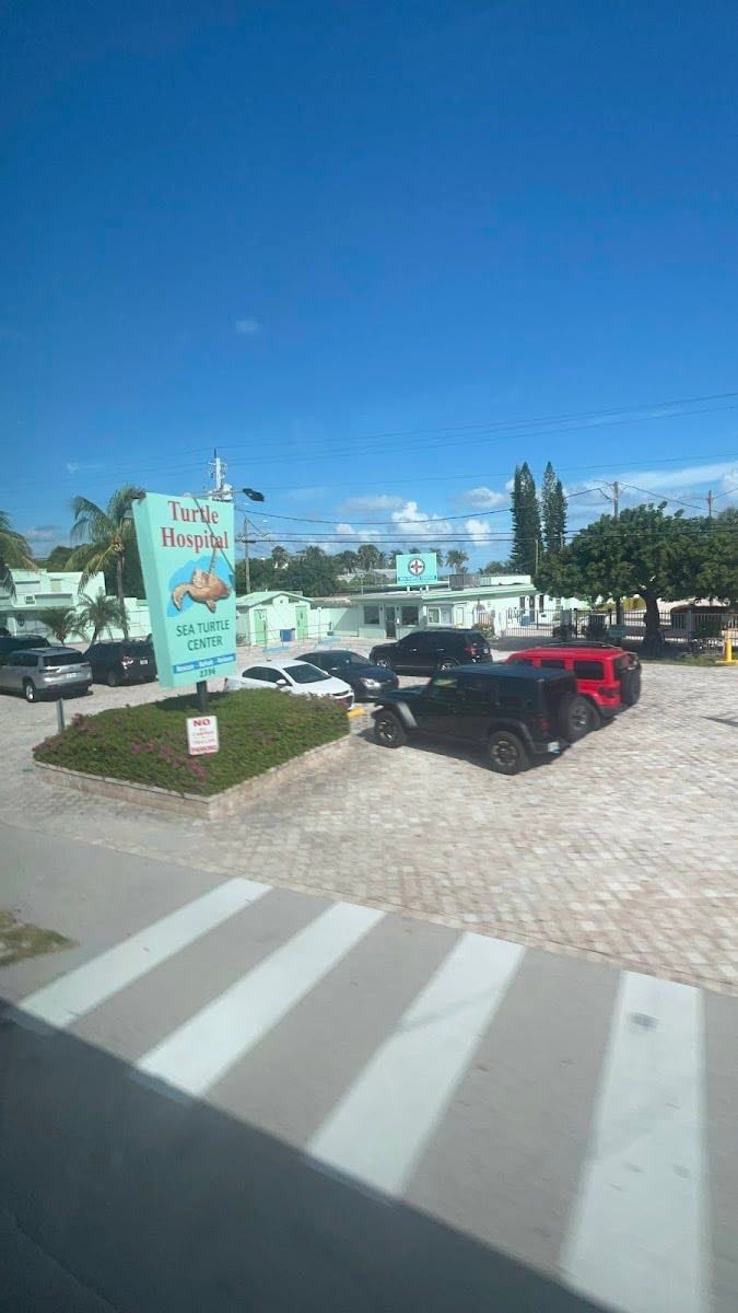 SEA TURTLE CENTER