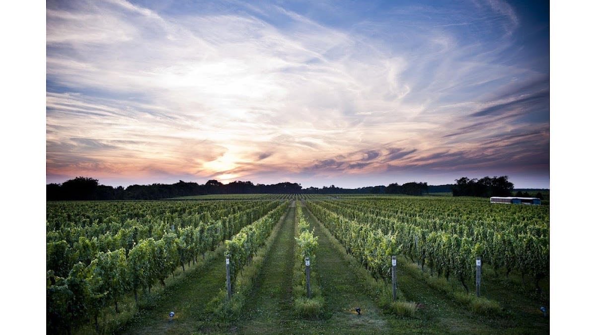 Bedell Cellars