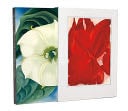 Georgia O''Keeffe - Nicholas Callaway