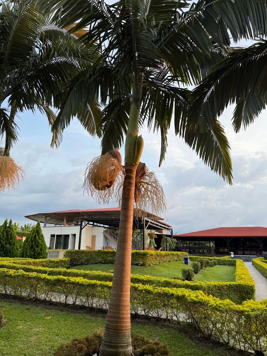 Kindía park hotel