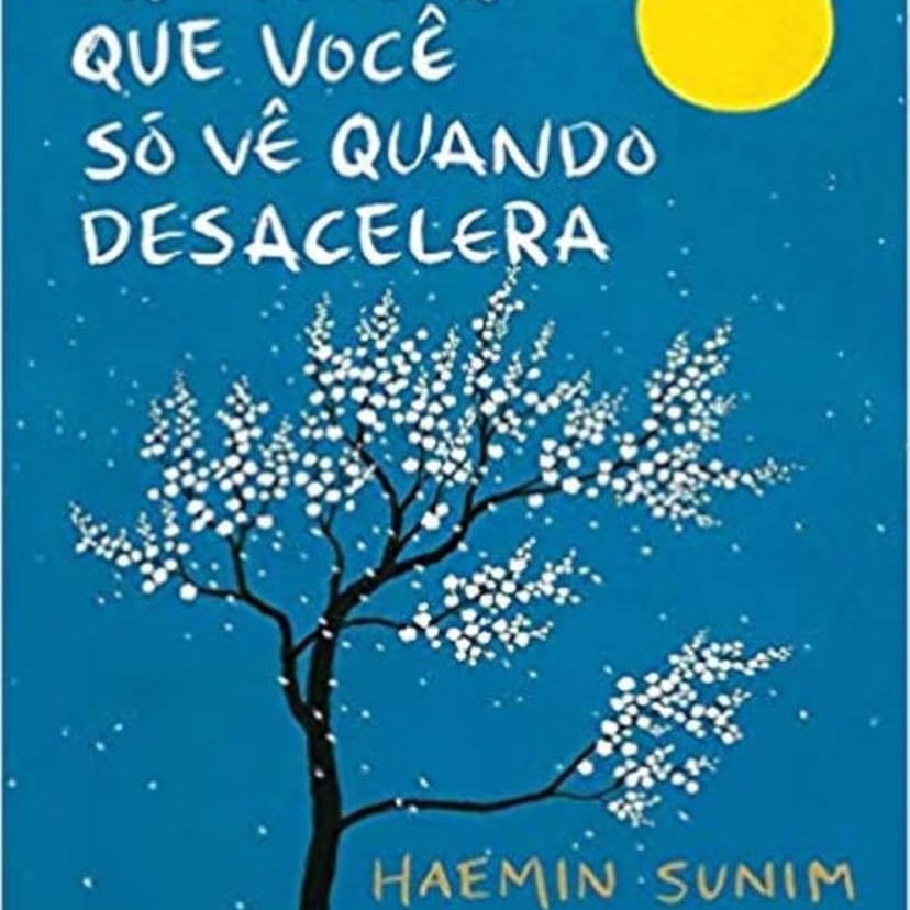 As coisas que você só vê quando desacelera - Haemin Sunim · 2017