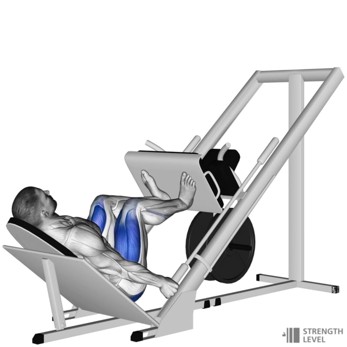 leg press inclinado