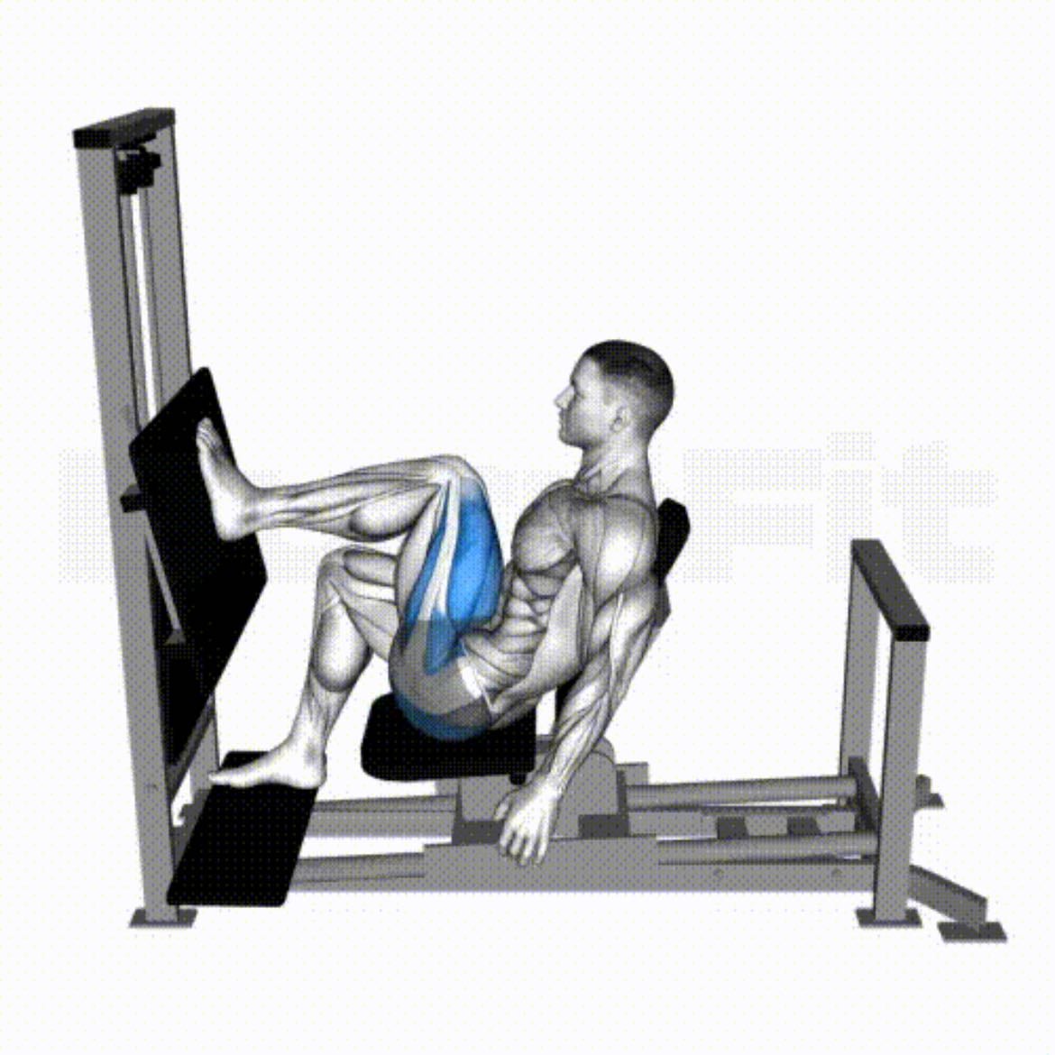 leg press