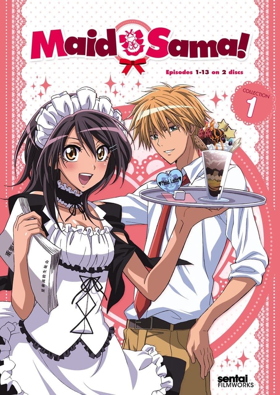 Maid Sama! - 2010