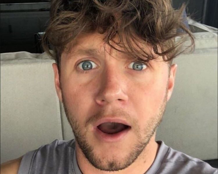 My fav Niall Horan songs馃馃徎馃馃徎 (not in order)