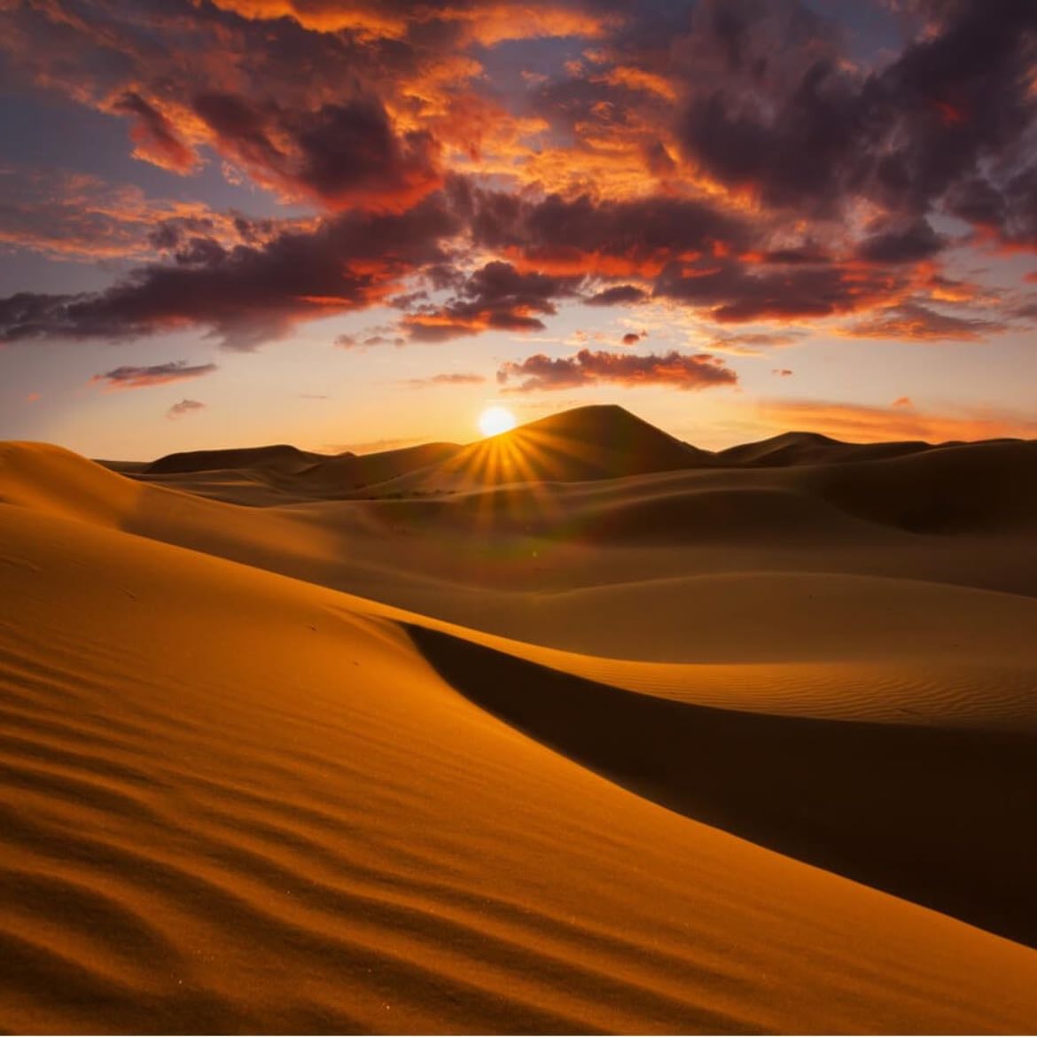 Sahara Desert