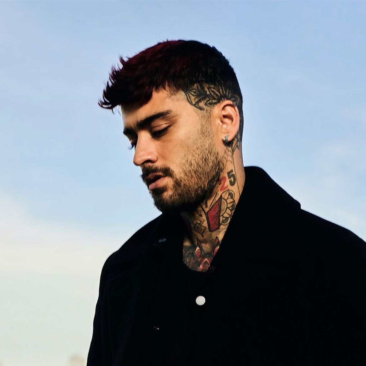ZAYN - Artist