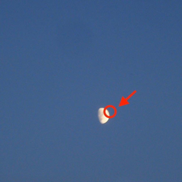 FAKE MOON - Album · cleopatrick