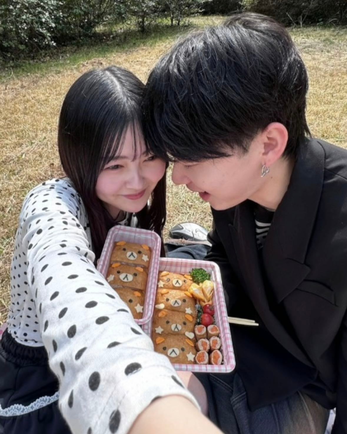 picnic ππ*γ