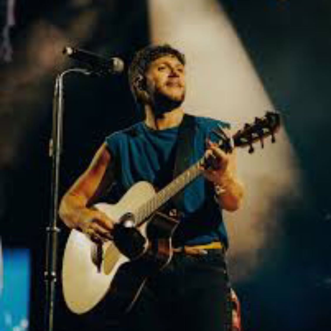 TSLOT era - I think Niall was so happy during this era. He honestly looked so happy gave off happy energy and when his happy I’m happy so this is by far one of his best eras