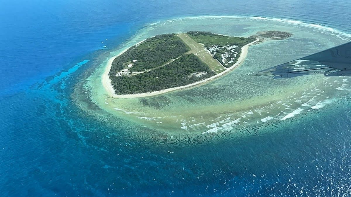 Lady Elliot Island