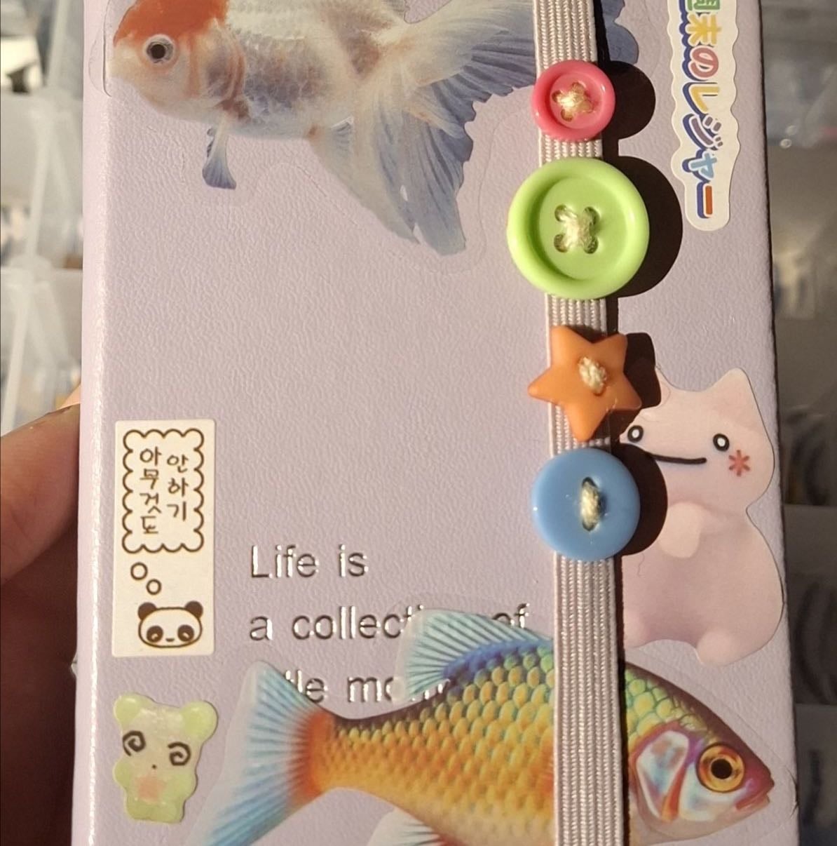 journaling ideas (no photos are mine) 📓