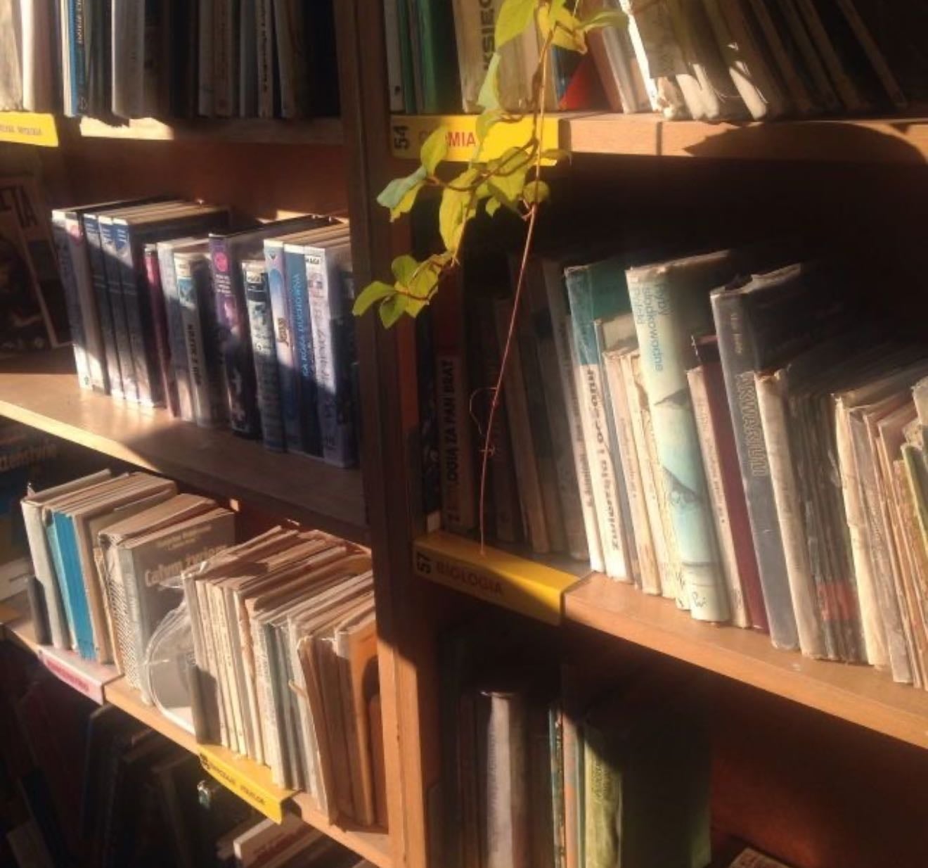 Books - Books hypelist by Audrey Booth