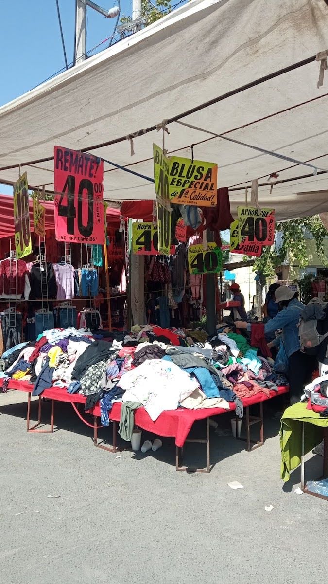 Tianguis El salado
