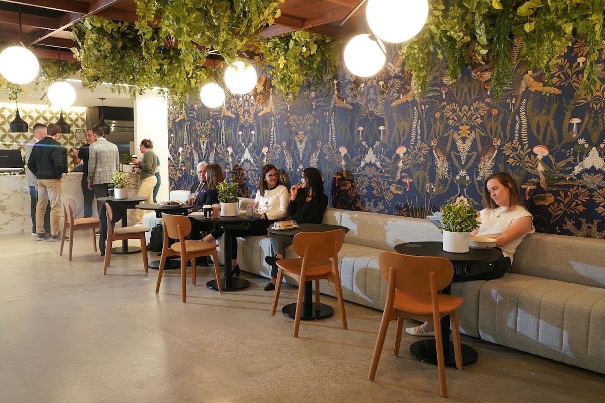 Cafe 295