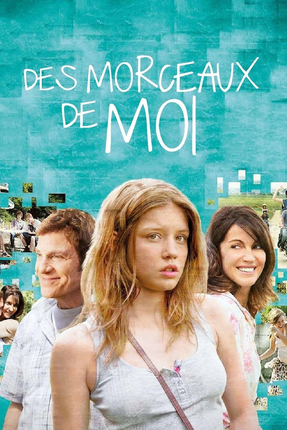 Des morceaux de moi - Nolwenn Lemesle · 2013