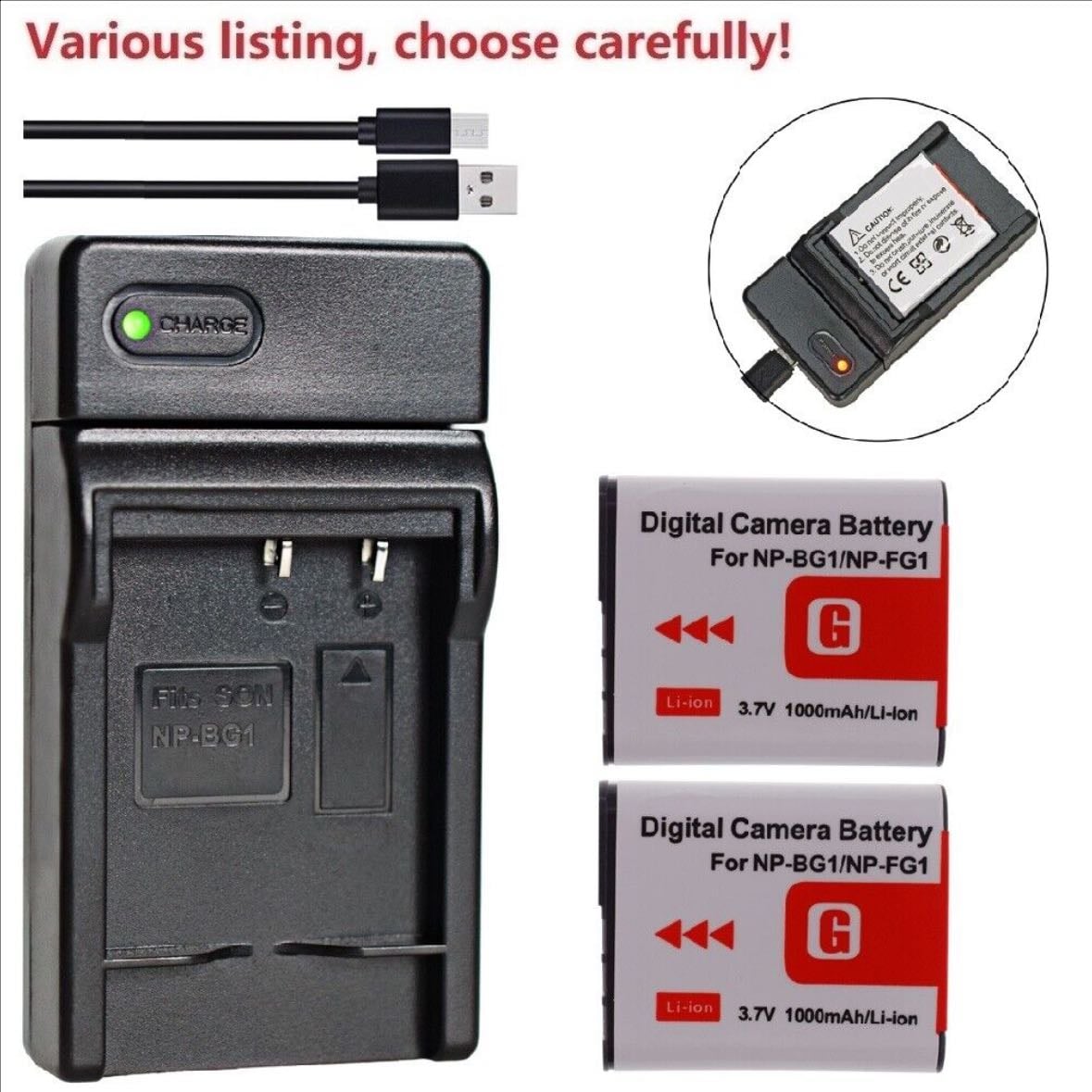 NP-BG1 battery charger