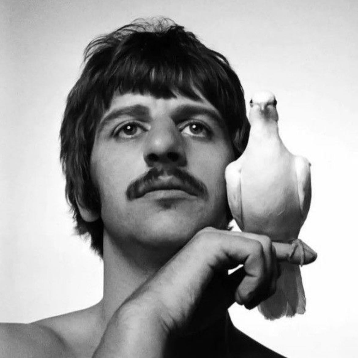 💌 - slay ringo slay