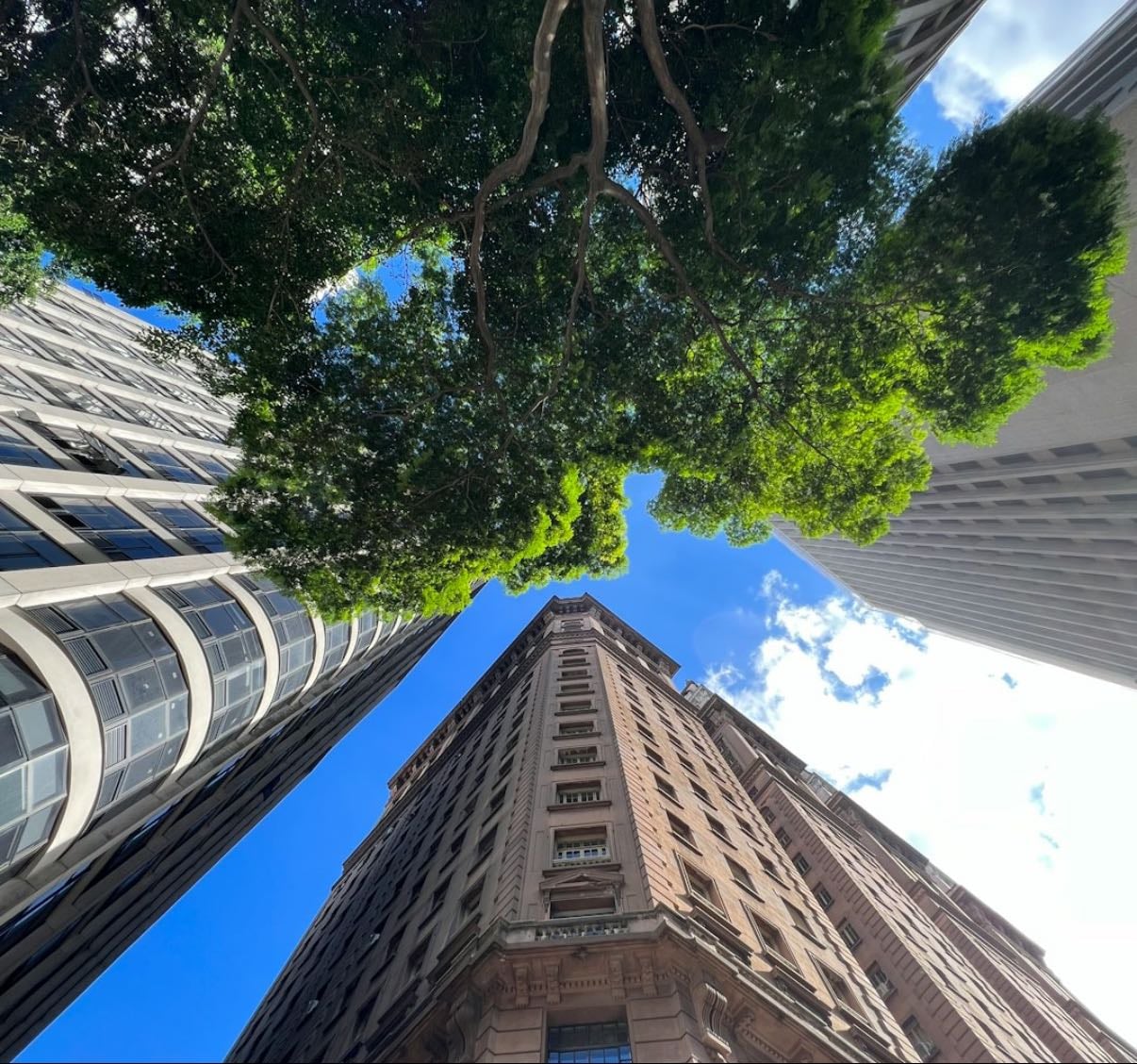 sp - Places hypelist by Daniel Marques