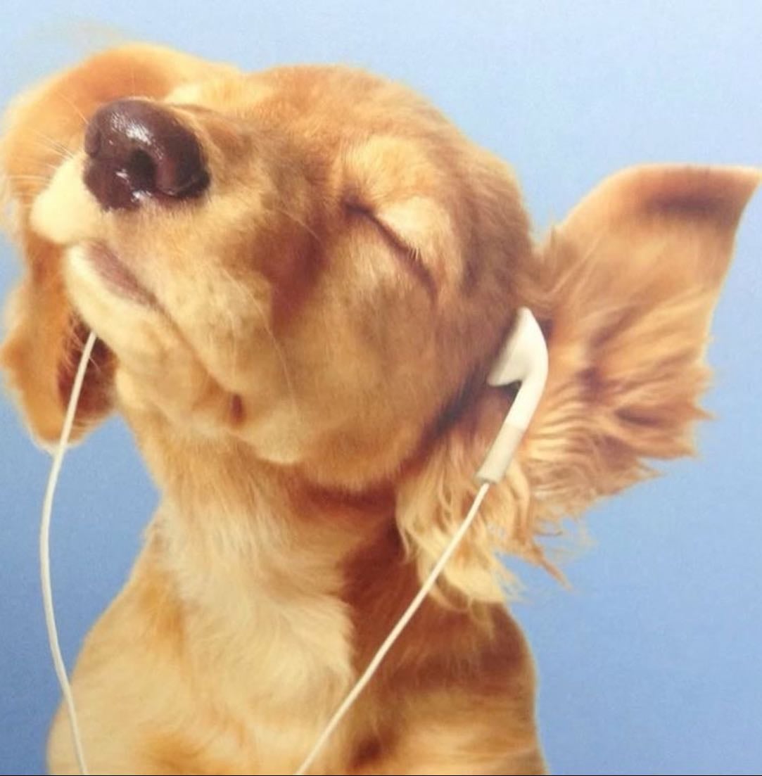 music