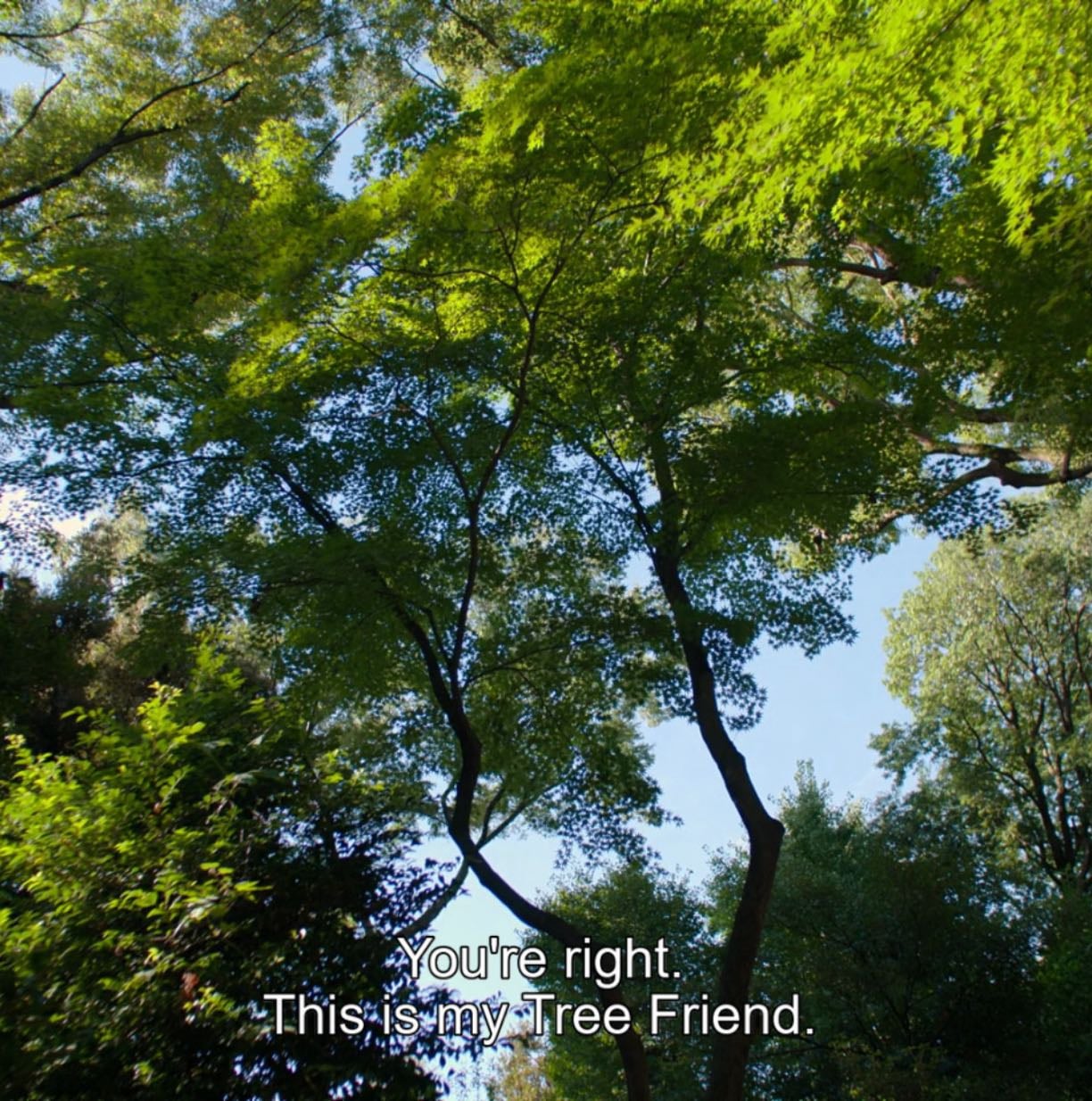 ˚˖𓍢ִ໋❀ Slice of life movies . ݁₊ ⊹ . 📽.ᐟ