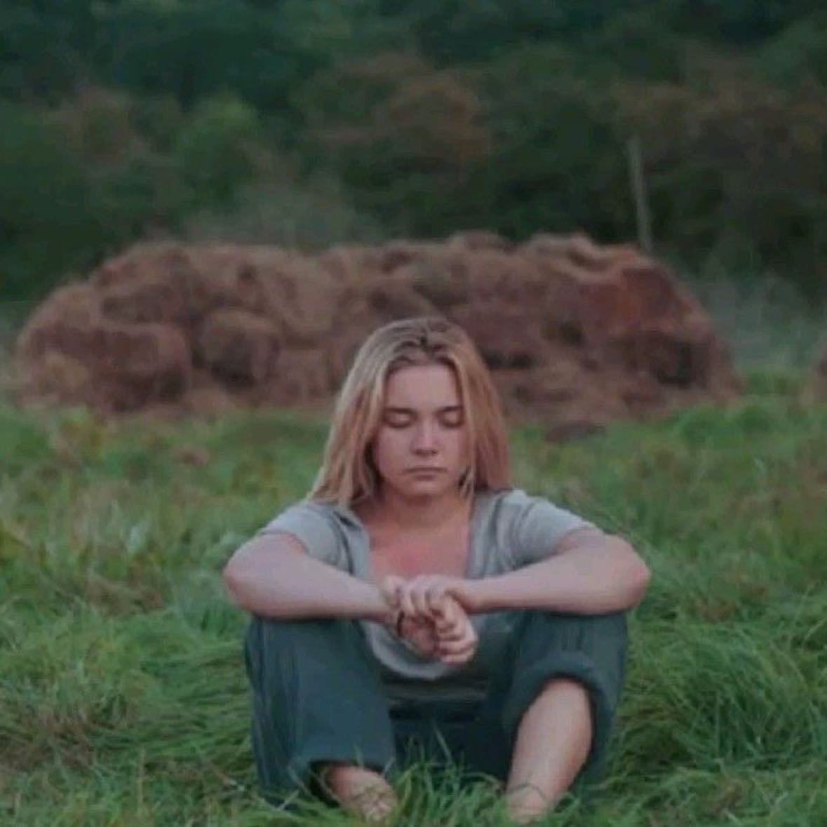 Midsommar - Ari Aster · 2019
