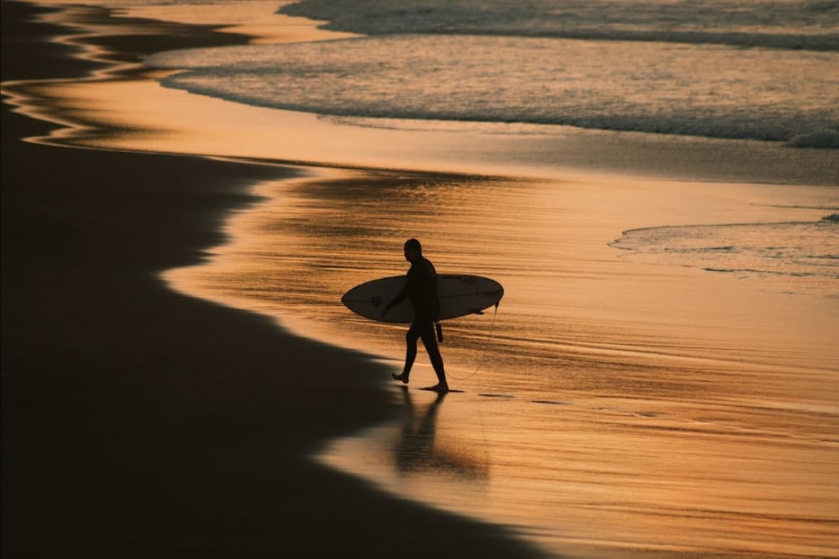Try surfing