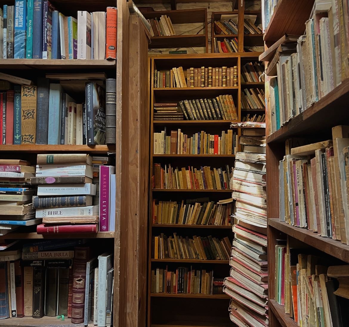 Lecturas 2024